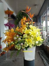 250 Lẵng hoa để bàn đẹp mừng khai trương sinh nhật Trạm Hoa