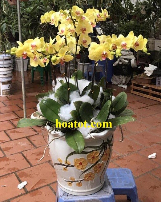 68632743_2380301018892052_8058618425628426240_n